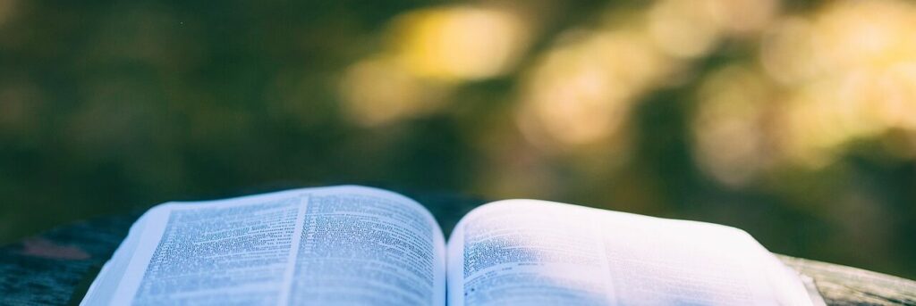 book, pages, open book-1868068.jpg